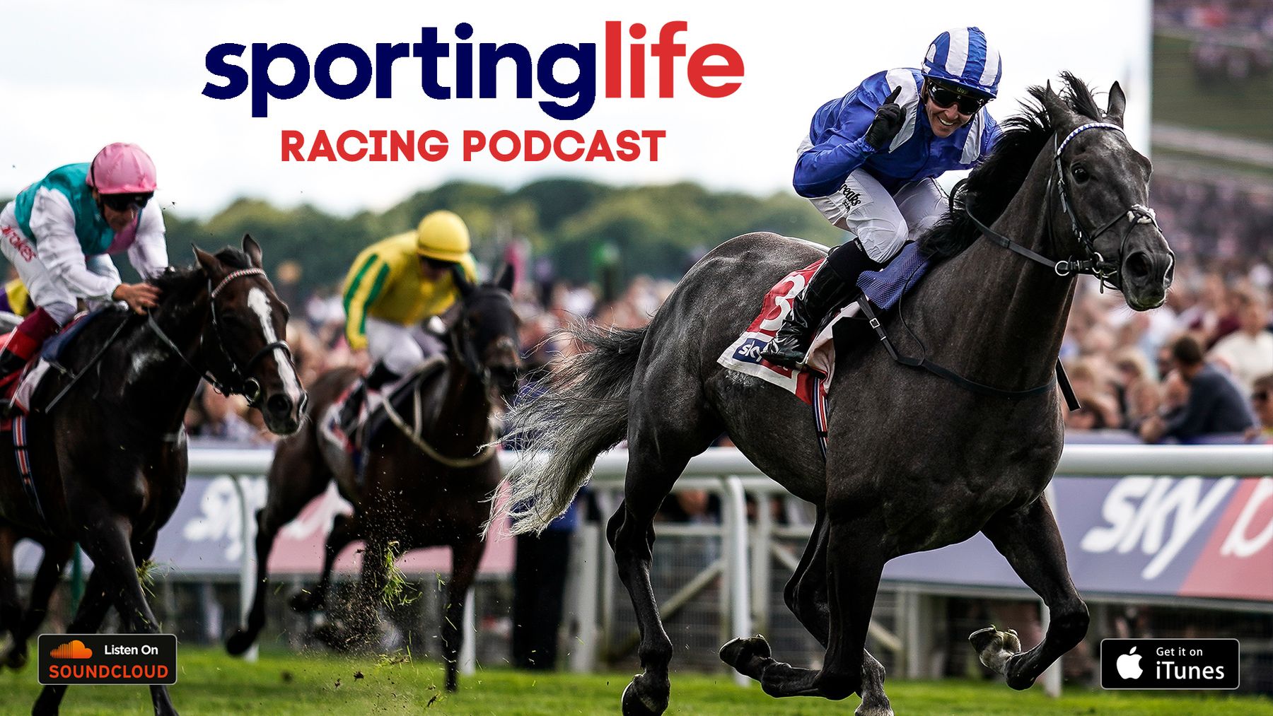 Horse Racing Betting Tips | Racecards & Results - Sporting Life