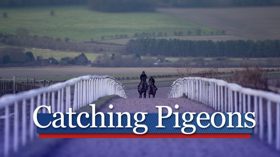 Get all the latest whispers from the major racing training centres