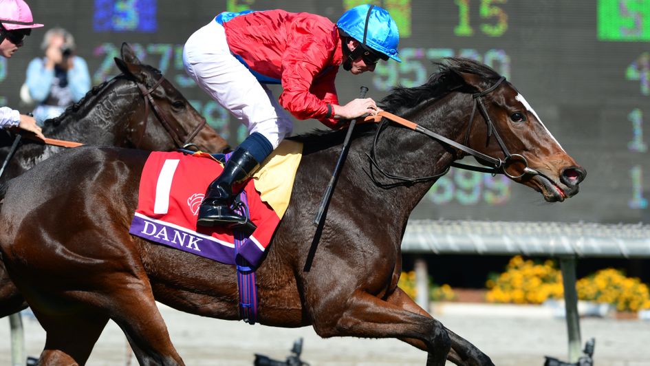 Dank - daughter could make debut at Newbury