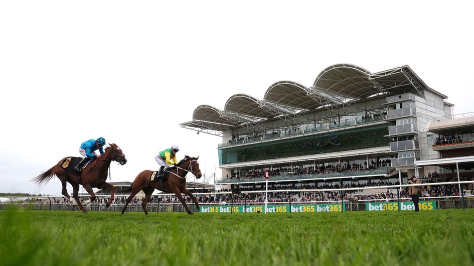 Rolica wins narrowly at Newmarket on bet365 Craven day
