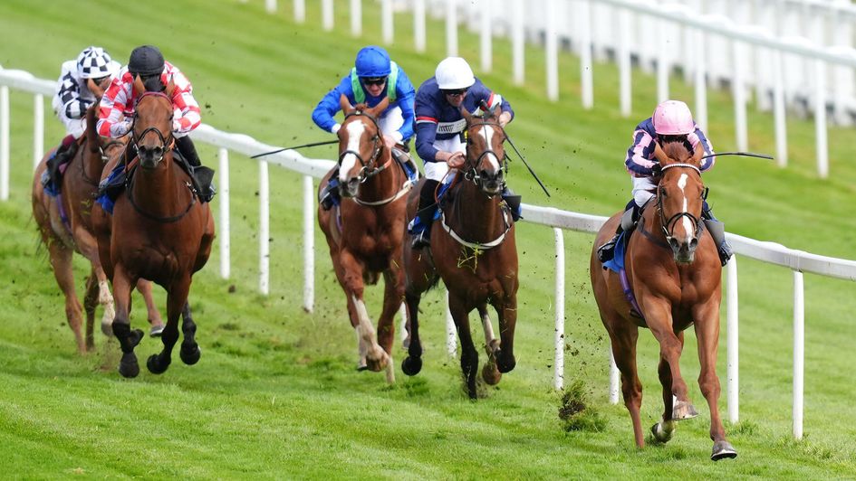 Crystal Delight romps home at Epsom