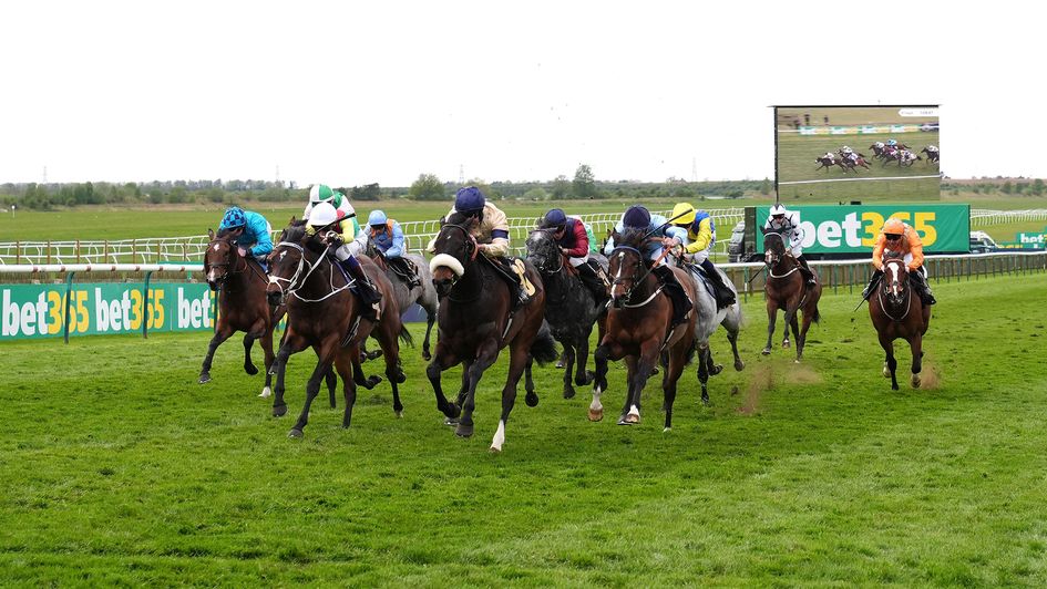 Action from the Abernant Stakes