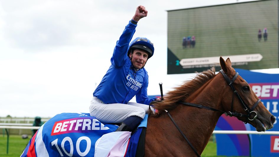 William Buick celebrates on Desert Flower