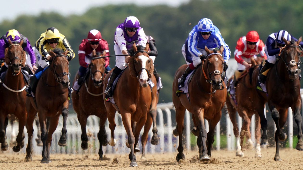 Big-race preview & tips: Northumberland Plate at Newcastle