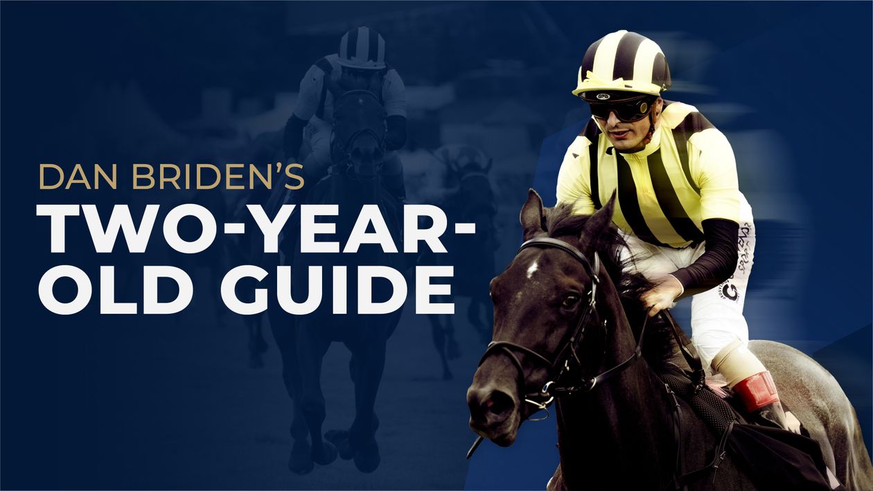 Dan Briden Two-Year-Old Guide: James Ferguson