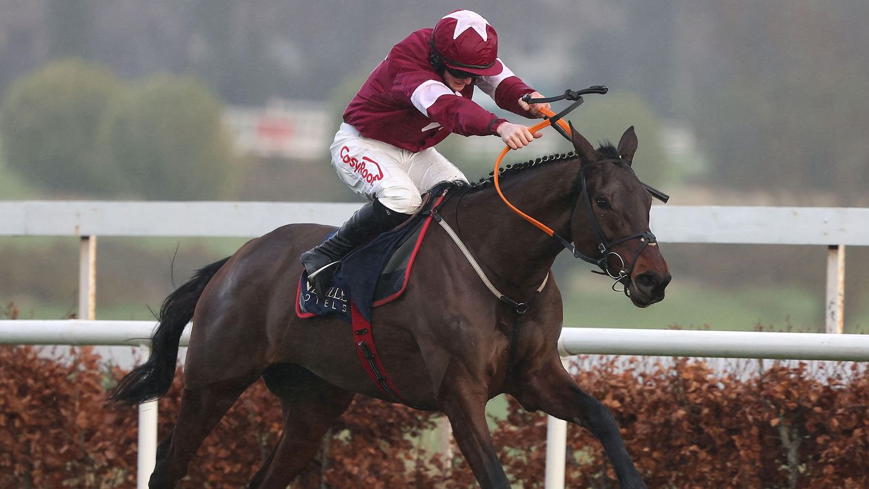 Timeform ratings reaction to the best performances over Christmas