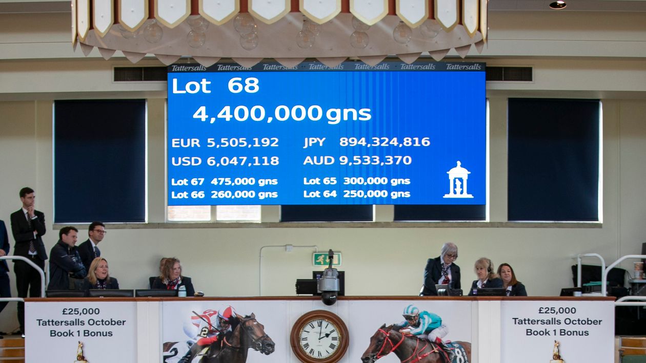 Amo Racing land top lots on day one of Tattersalls Book One Sale