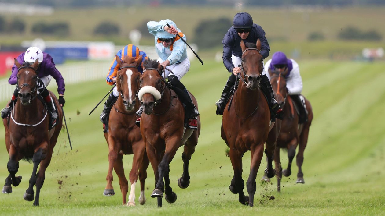 Curragh Sunday review and free video replays of the Irish Derby Festival card