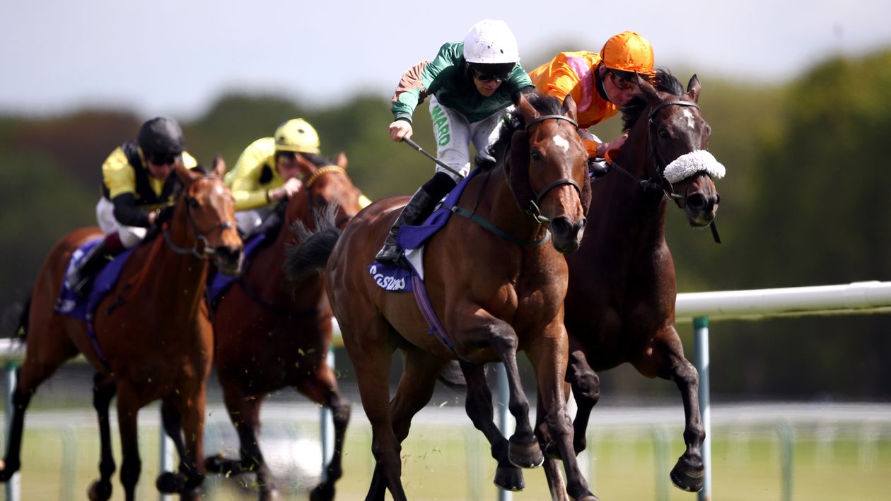 Peter Naughton's Notebook: Eyecatchers and horses to follow from the TV ...