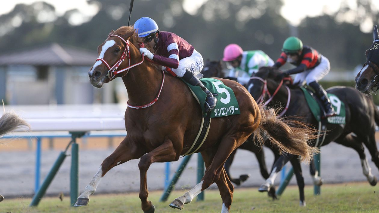 Yoshito Yahagi convinced he has the horse to fulfil Arc de Triomphe dreams for Japan