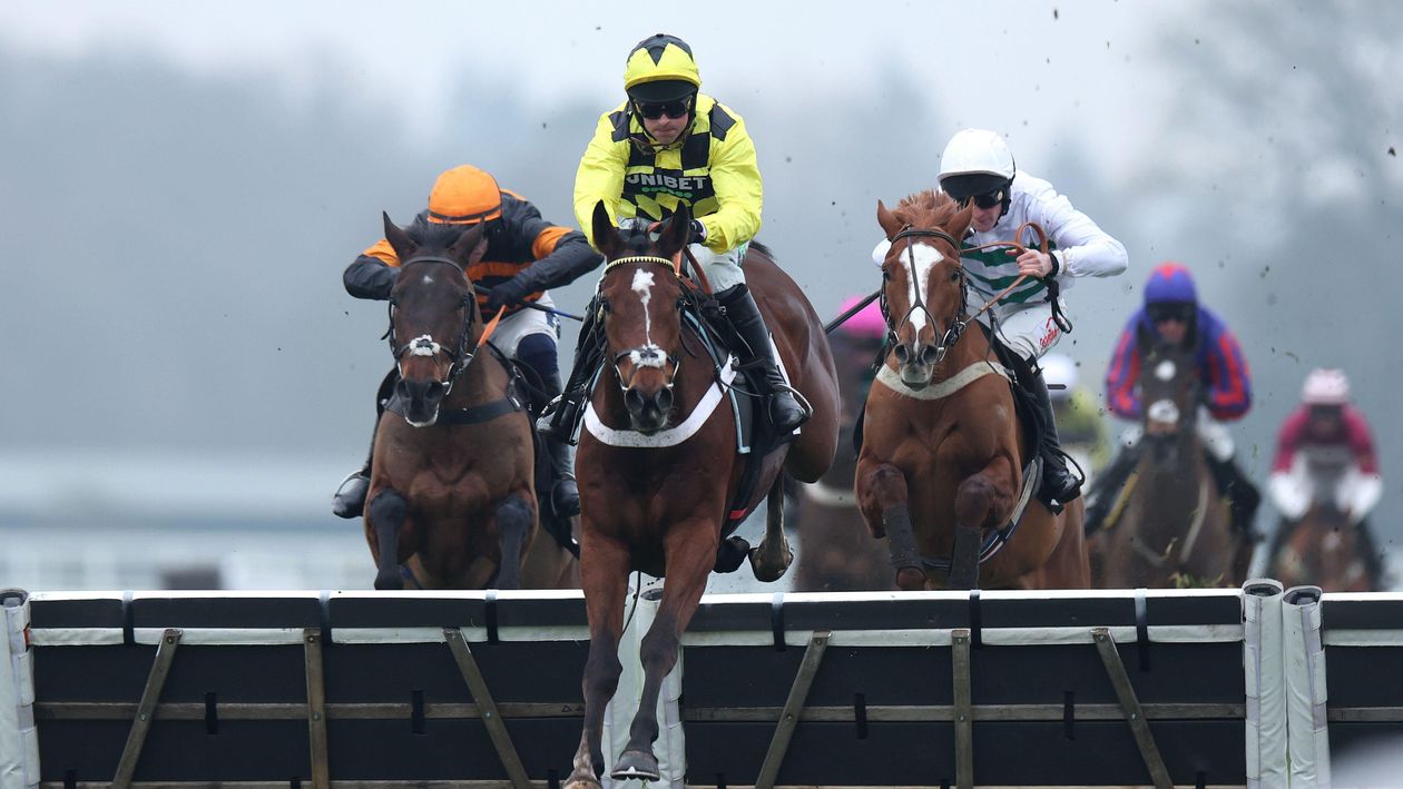 Lulamba 6/4 Favorite for JCB Triumph Hurdle After Ascot Victory