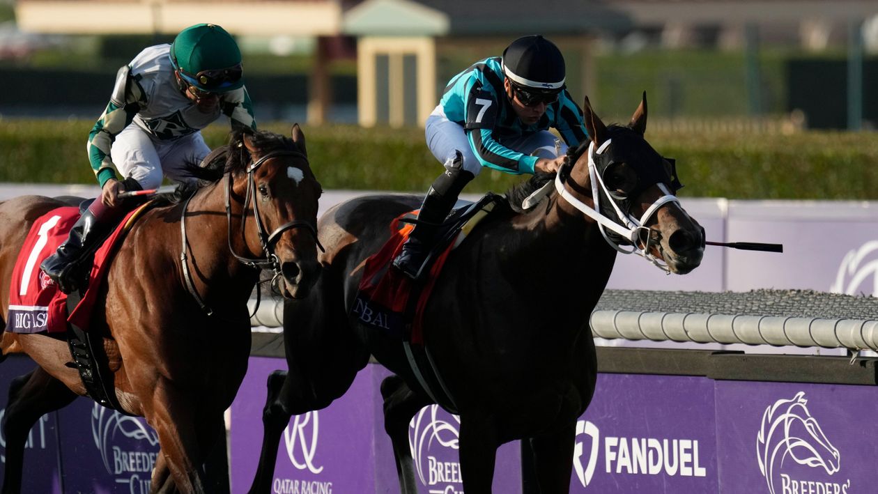 Breeders' Cup Turf Sprint Live In The Dream finishes fourth behind Nobals