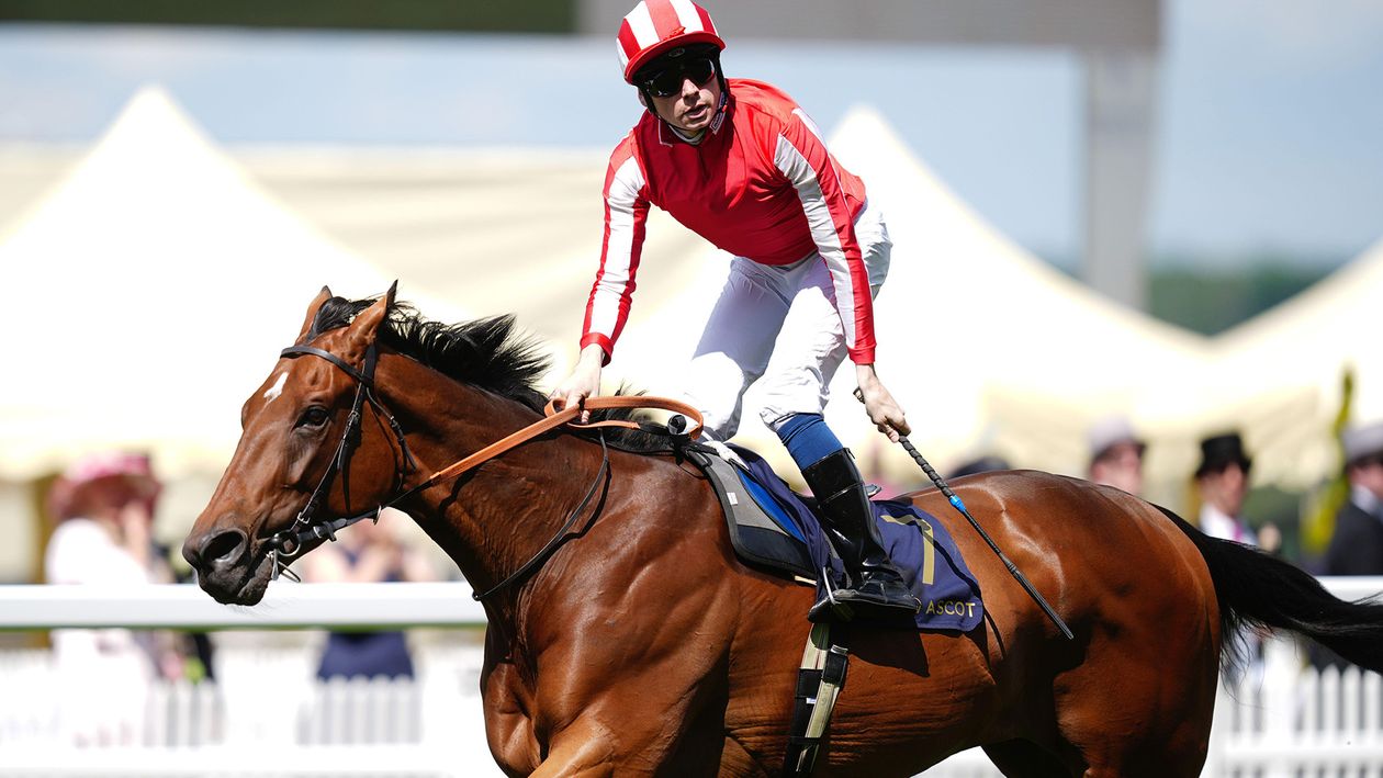 First Royal Ascot success is the sweetest for emotional Callum Shepherd