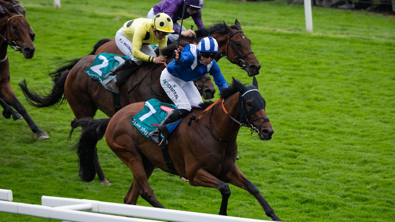 York review and free video replays from John Smith’s Cup day