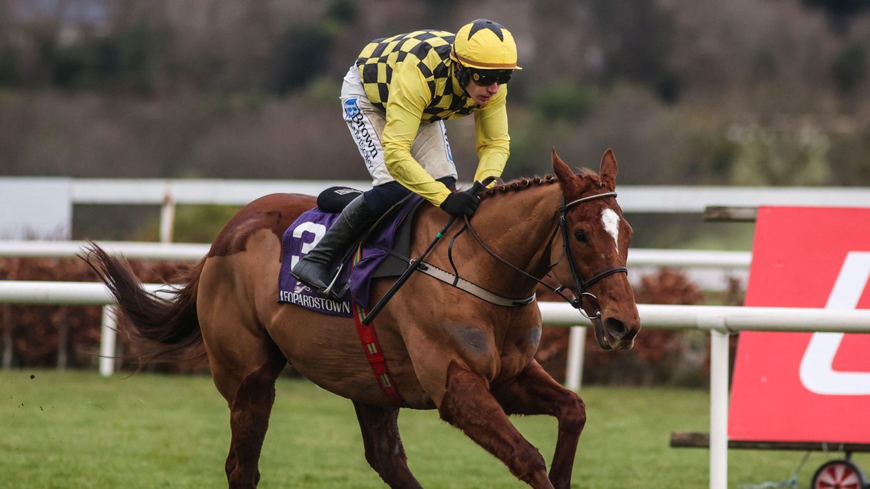 State Man won the Irish Champion Hurdle at the Dublin Racing Festival