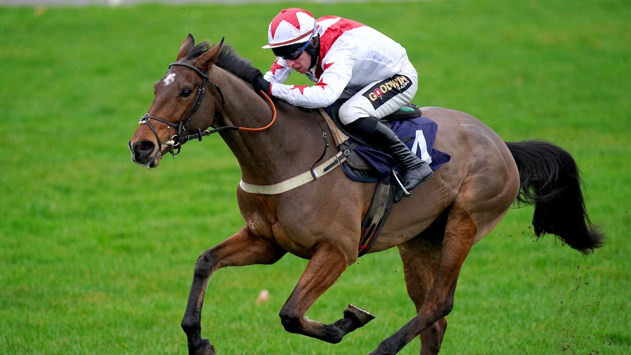 Ayr Scottish Grand National meeting preview