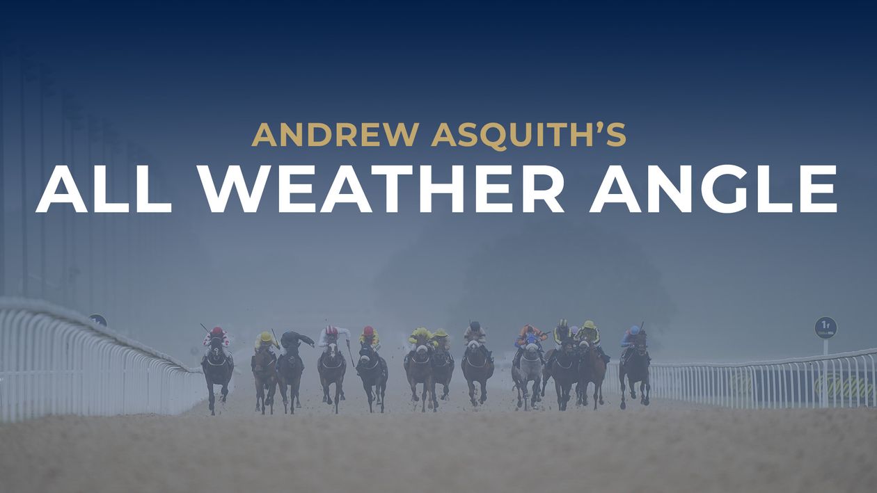 All-Weather racing tips, news and tracker horses