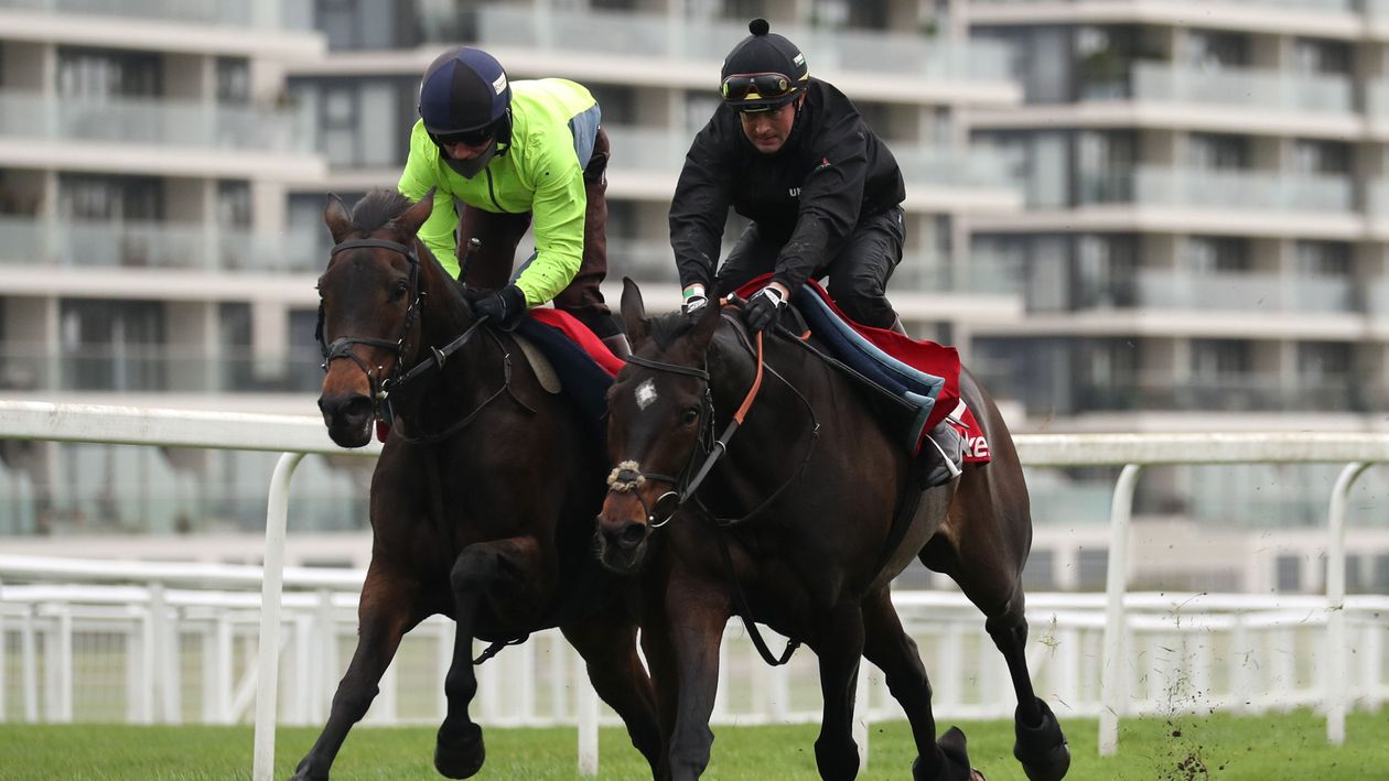 Epatante (left) and Altior at Newbury