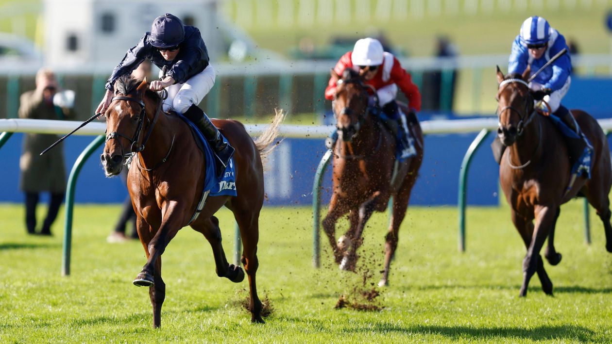 Timeform’s top-rated two-year-olds in Europe in 2023