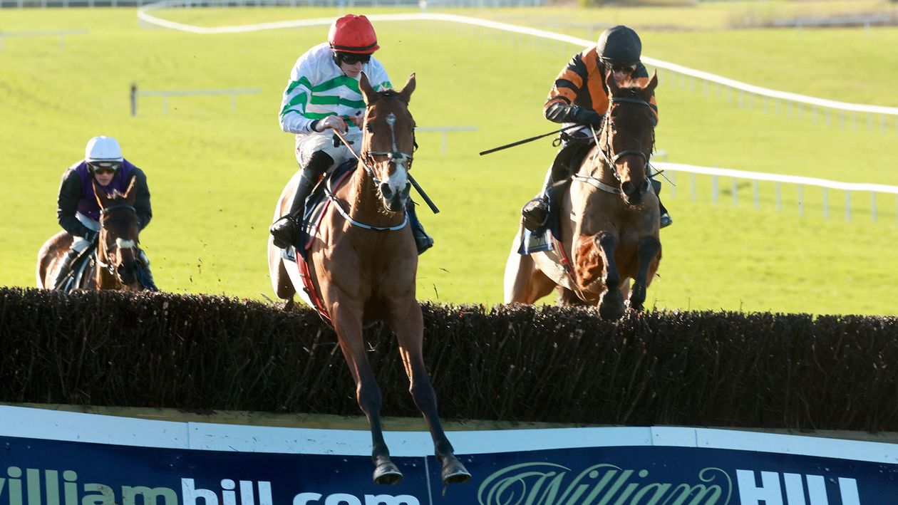 American Mike lands knockout blow in William Hill Ten Up Novice Chase