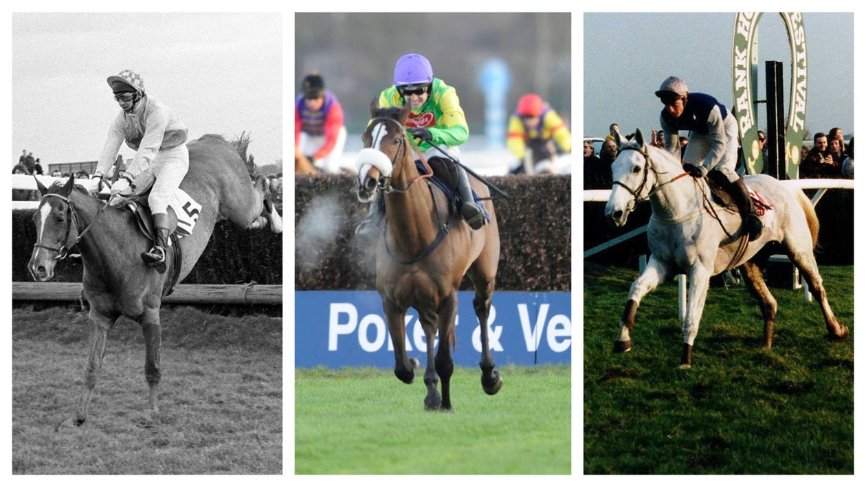 Including Wayward Lad, Desert Orchid and Kauto Star