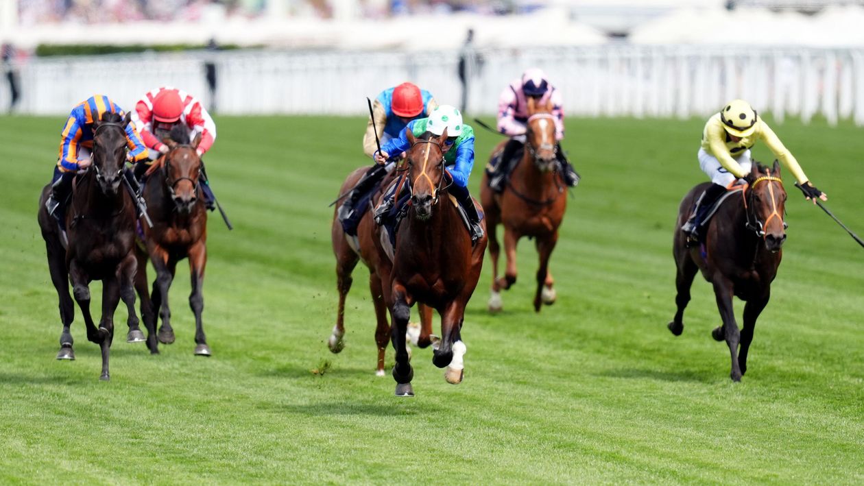 Coventry Stakes full report and free video replay