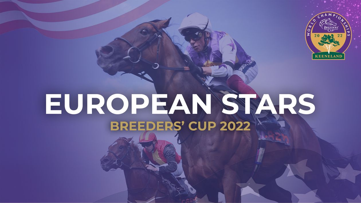 The Euro stars including Kinross, Highfield Princess, Nashwa and Mishriff