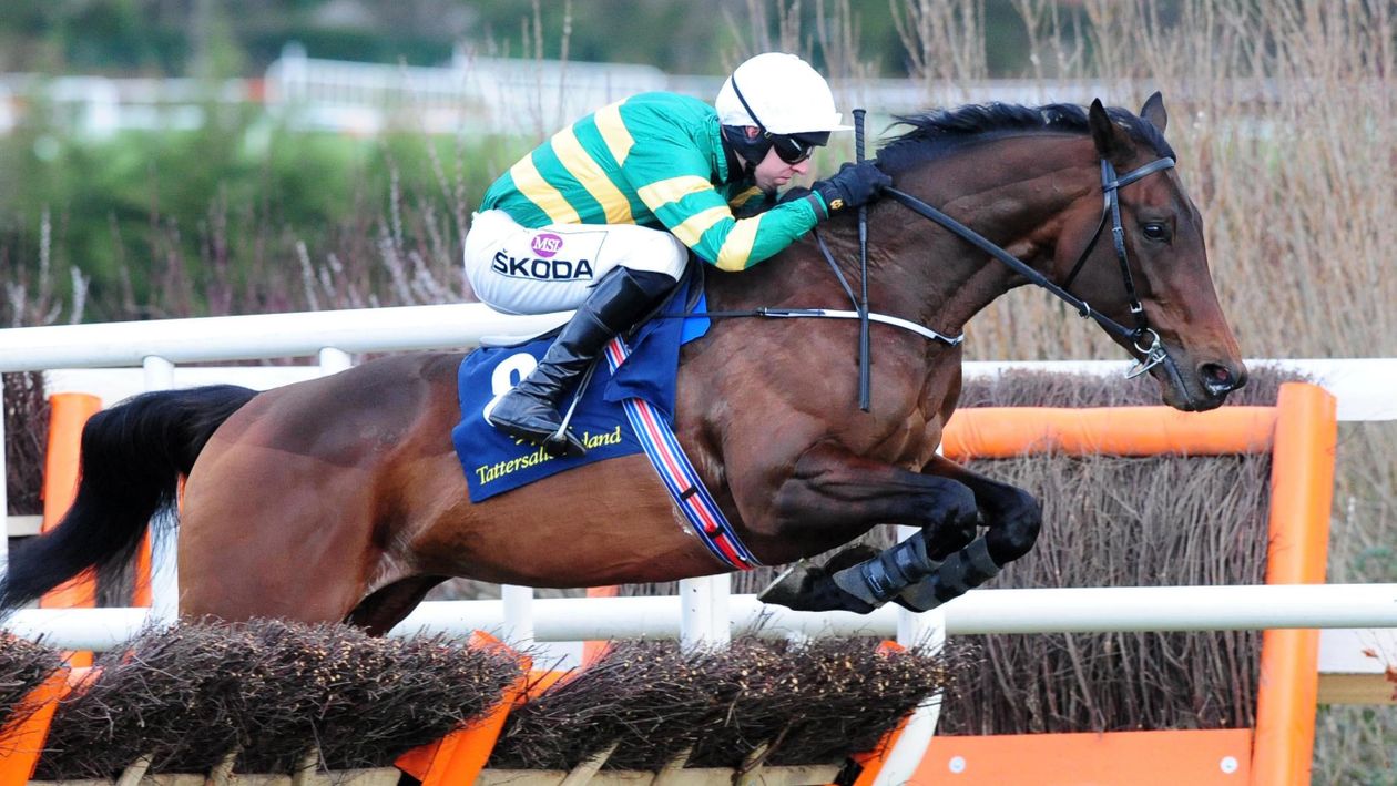 Cheltenham favourite Sir Erec suffers fatal injury