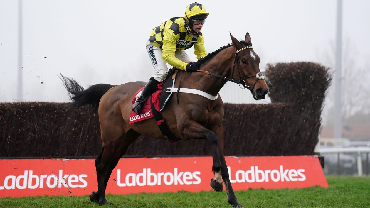 Sir Gino evens for Arkle after beating Ballyburn at Kempton