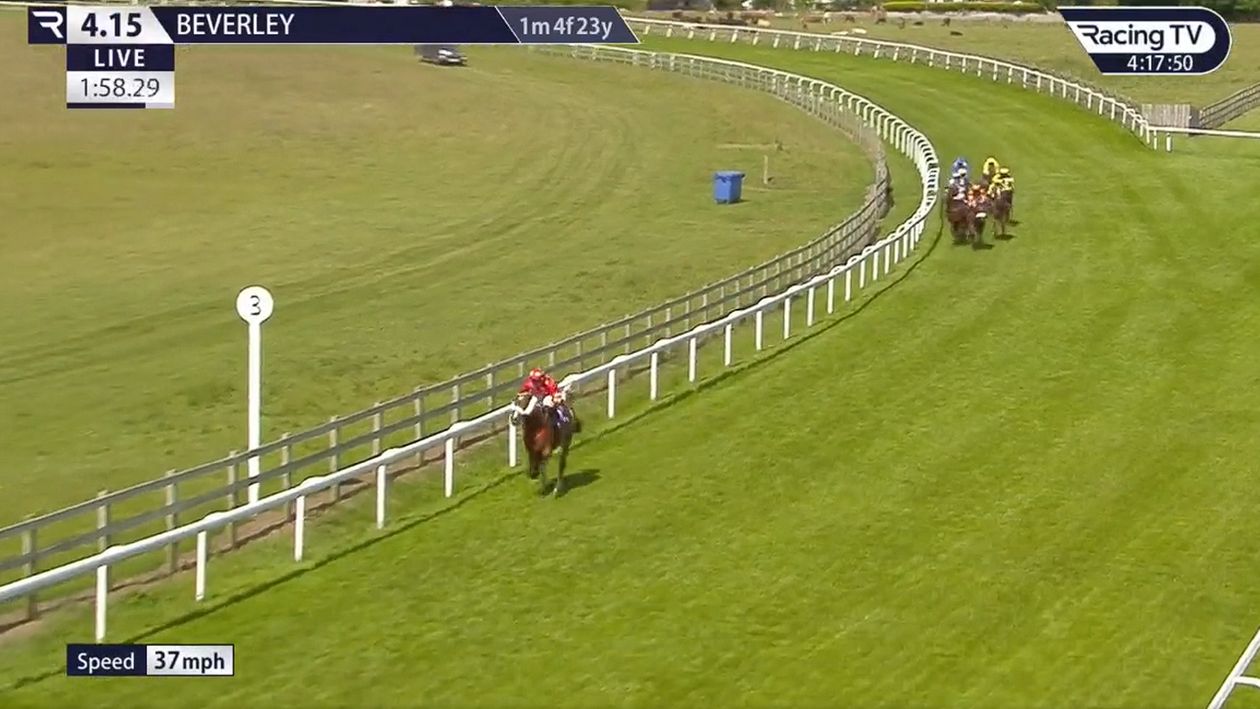 Watch Kieran Schofield's brilliant ride as Calculus pulls off 50/1 ...