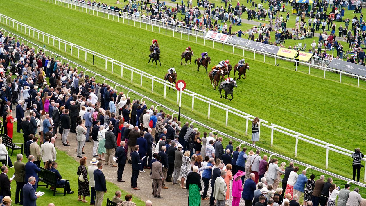 Super Saturday market movers | Value Bet tip Enfjaar slashed at York