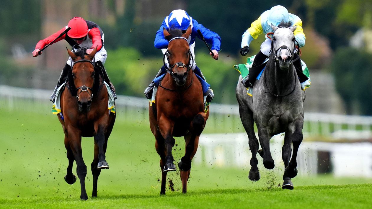 BBC Radio 4 drop daily racing tips