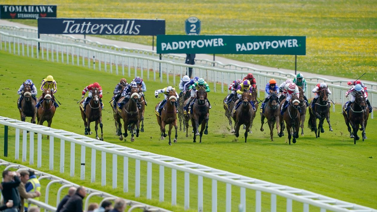 Three improvers with the Timeform Large P