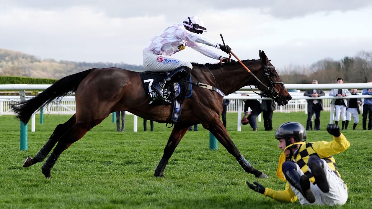 Golden Ace Triumphs in Dramatic Champion Hurdle; Constitution Hill and State Man Fall