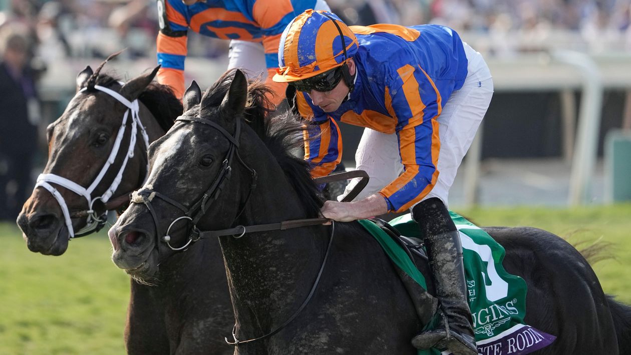 Timeform ratings reaction to the 2023 Breeders’ Cup at Santa Anita