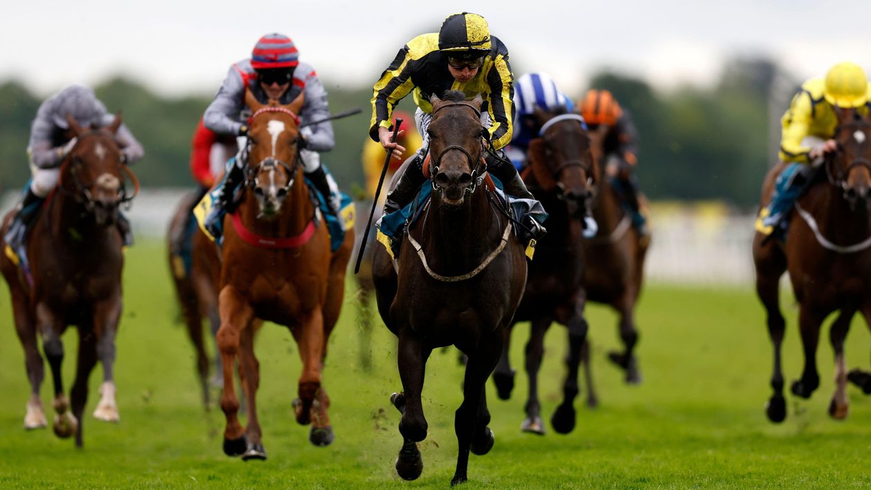 The most improved handicappers this season on Timeform ratings