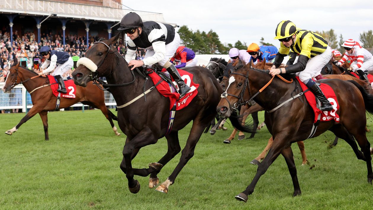 Virgin Bet Ayr Gold Cup Festival, day two preview