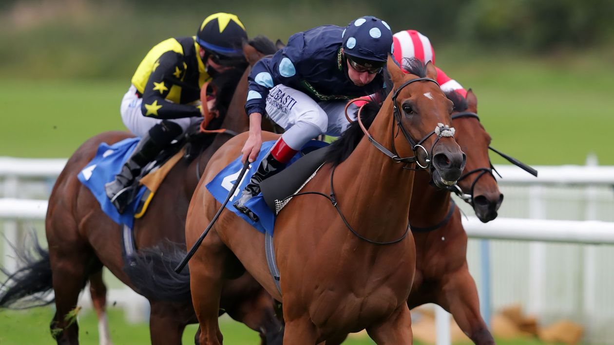 Horse Racing Tips Today: Timeform ratings and Flags on Saturday