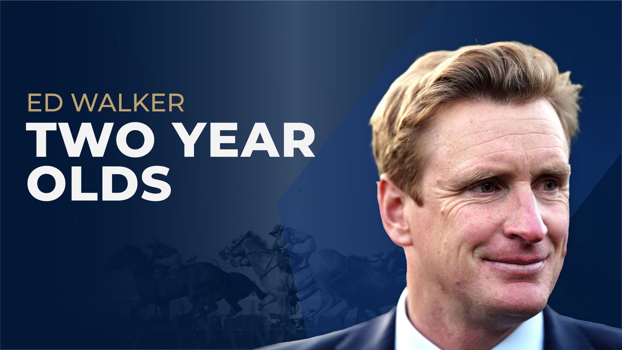 Dan Briden 2YO Guide: Ed Walker