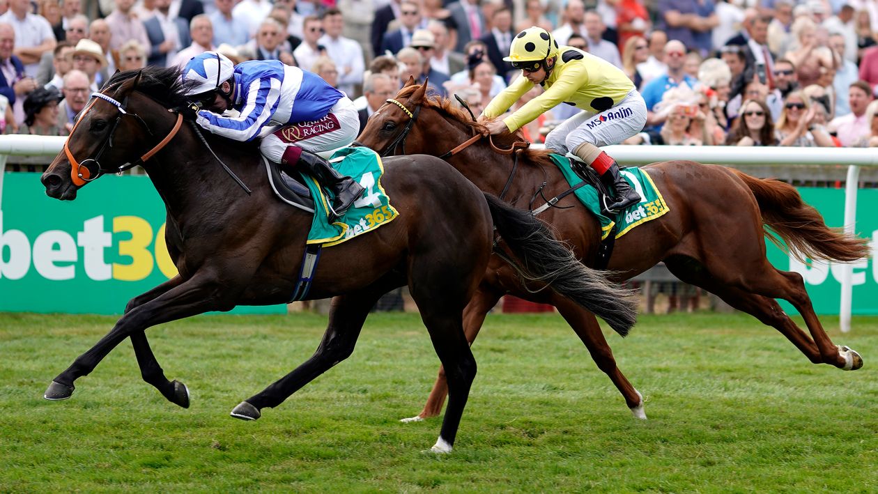 View from connections and Man On The Spot tip for Mill Reef Stakes