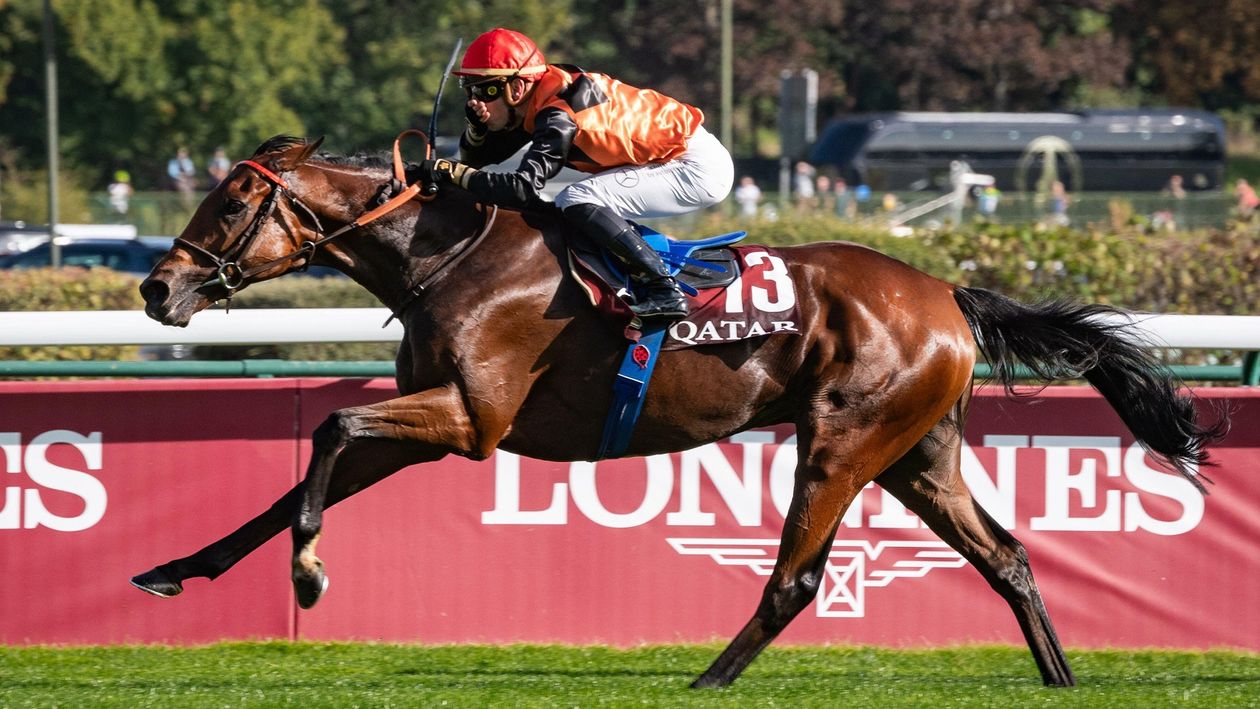 Timeform ratings analysis | Ace Impact and the Prix de l’Arc de Triomphe