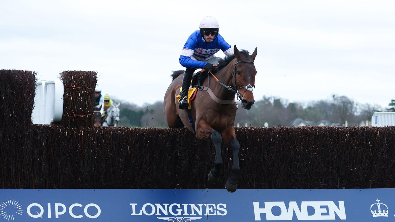 Pic D’orhy out to end Paul Nicholls Grade 1 drought in Betfair Ascot Chase