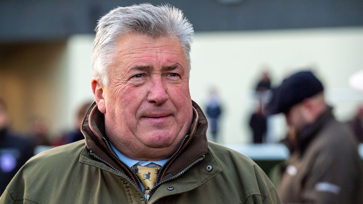 Paul Nicholls looking forward to Cheltenham Festival with Jubilee Alpha