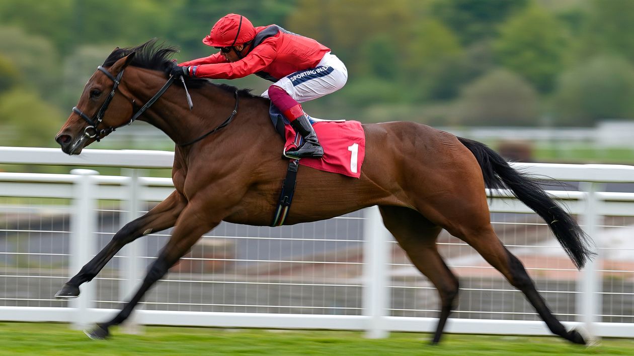 York Horse Racing Tips Timeform ratings and Flags for Wednesday