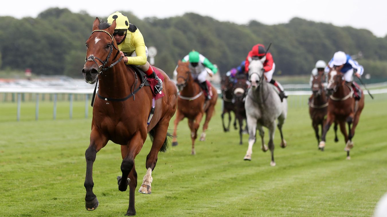 Free racing tips: Keith Hamer previews Saturday's action with Nap and ...