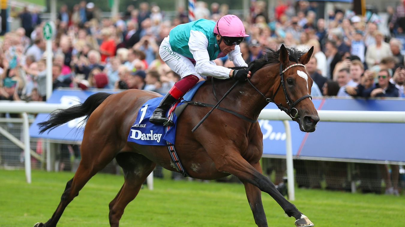 Pedigree Pointers: Cassie Tully on inbreeding and Enable's blood lines