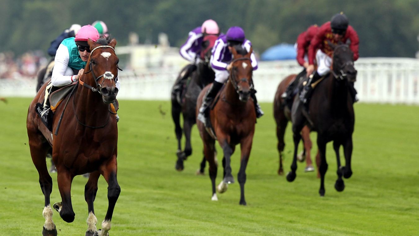 Frankel covering fee for 2024 soars to £350,000