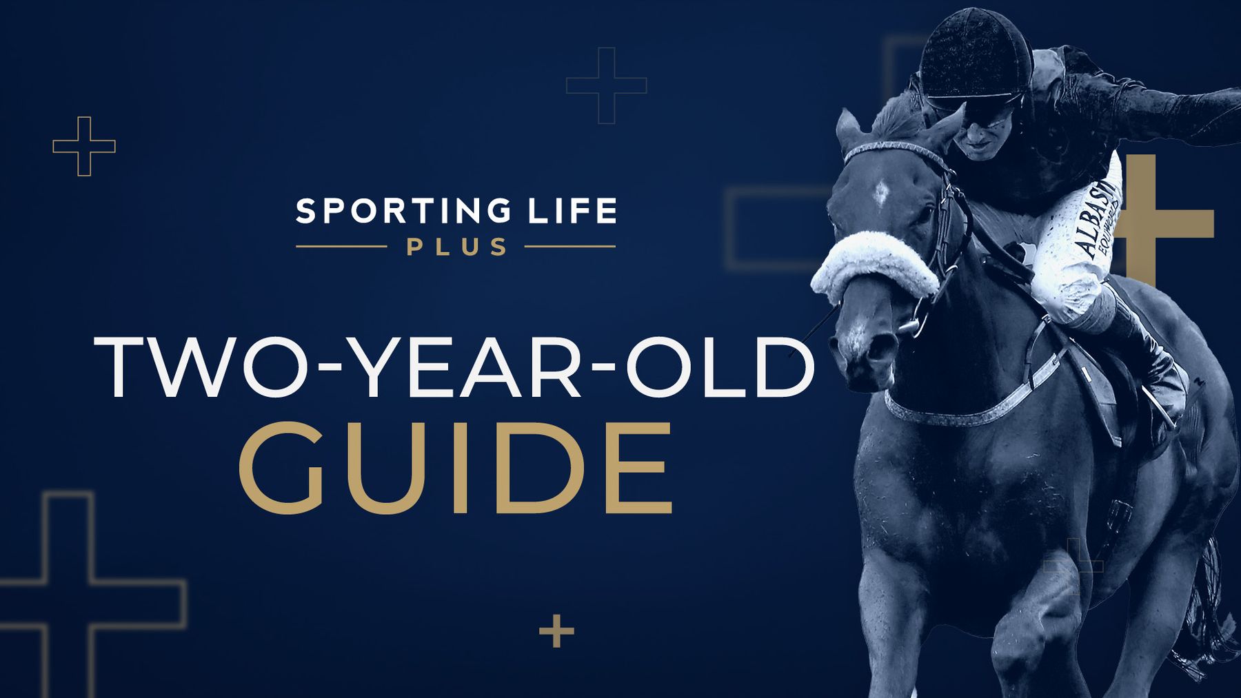 Dan Briden Two-Year-Old Guide: Dylan Cunha and George Scott