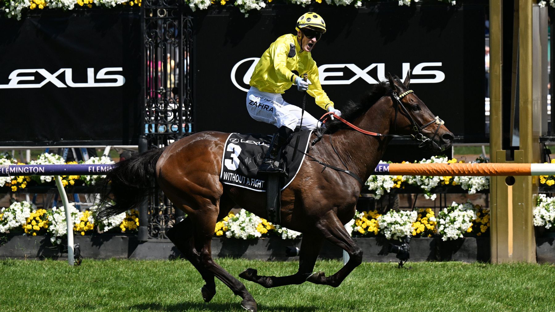 Without A Fight storms to Melbourne Cup success for Freedmans at Flemington