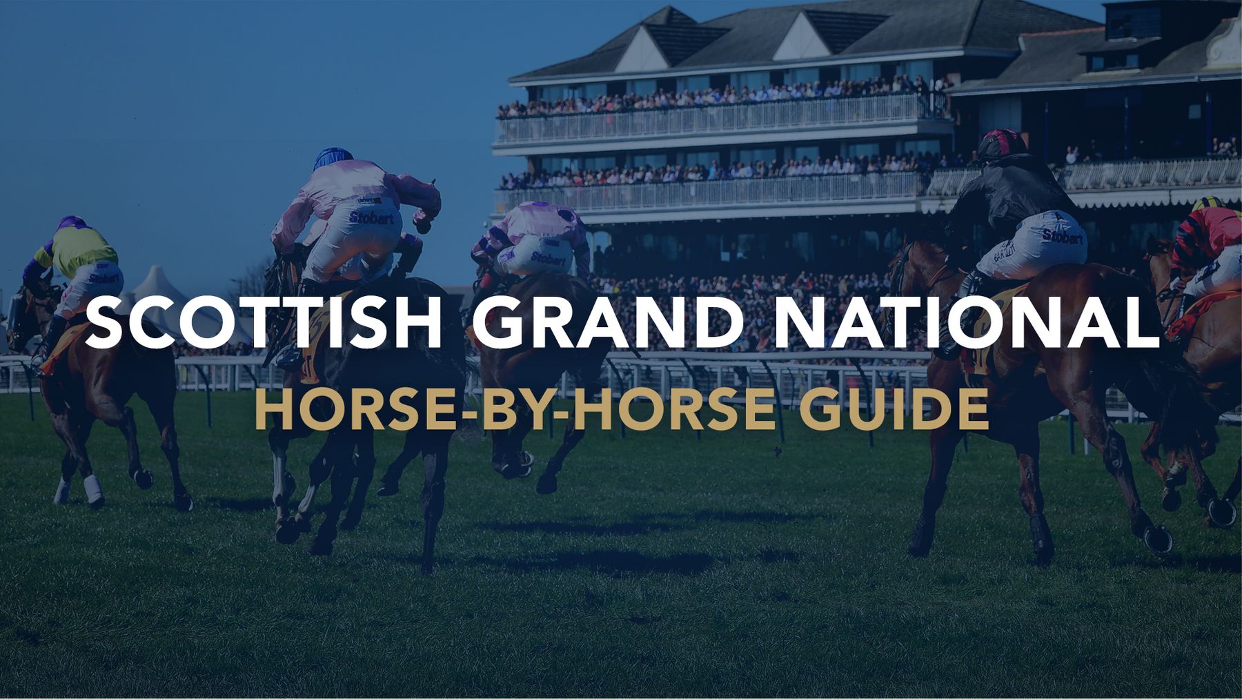 Scottish Grand National tips Rory Delargy horse by horse guide to the